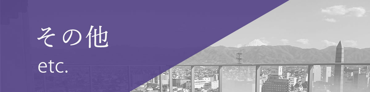 その他